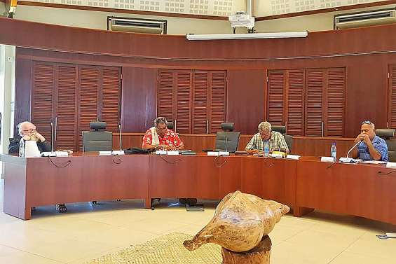 Les sénateurs opposés à l’abattage de requins