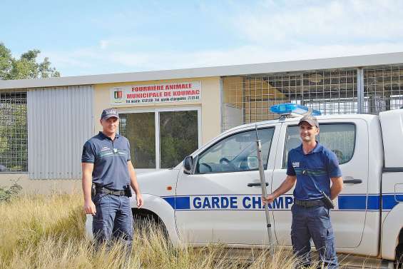 La fourrière municipale reprend du service