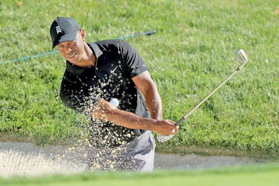 Le « Tigre » est de retour 