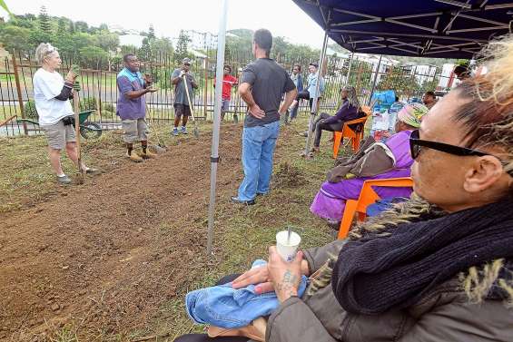 Le sol reprend vie aux jardins partagés du CCAS