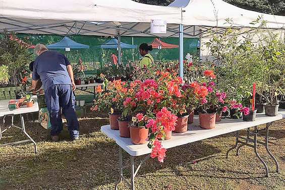 Une quarantaine  de stands à la journée de l’horticulture
