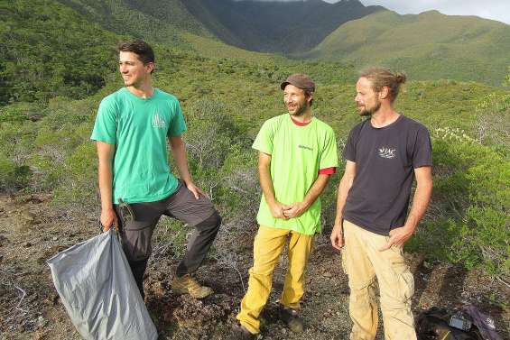 Quelles espèces sauver en priorité sur les sites miniers ?
