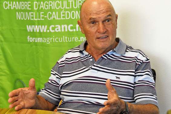 « On demande à sanctuariser les budgets et  à les utiliser de la façon la plus agile possible »