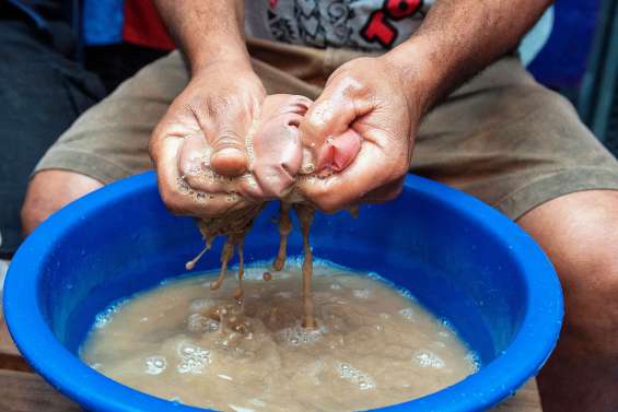 Aux Fidji, la consommation de kava s’adapte au coronavirus