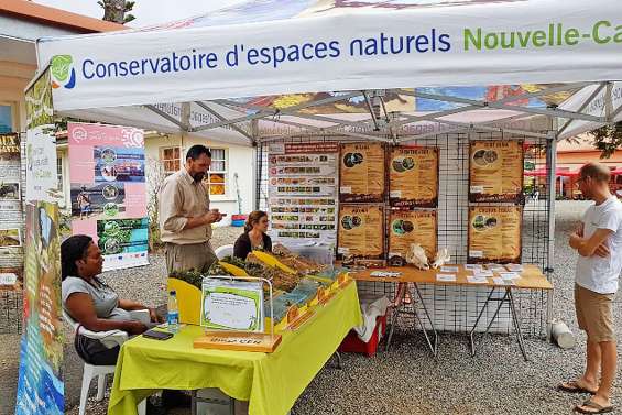 La Semaine de l’eau débute sous la pluie