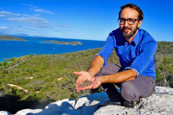 Et si on larguait des bombes végétales pour reboiser le Caillou ?