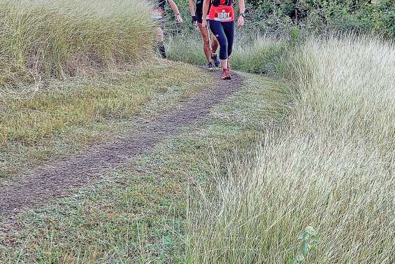 Une marche solidaire à Déva pour la Ligue contre le cancer