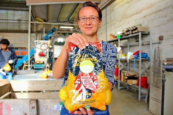 « Nous avons enregistré une hausse de vente de 10 % sur les six premiers mois de l’année »