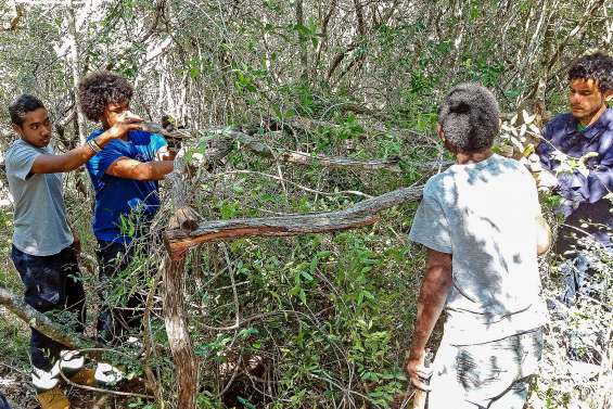 Un sentier pédagogique bientôt à la Tipenga nord