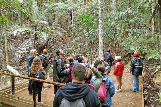 Aux Grandes Fougères, malgré les gouttes