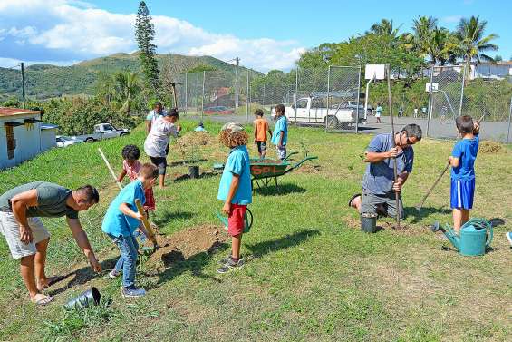 Des arbres de forêt sèche plantés à l’école Louise-Michel