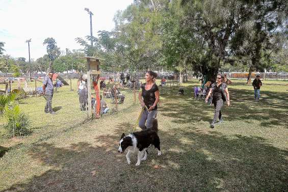 Après une saison sans compétition, les clubs canins se sont réunis dimanche