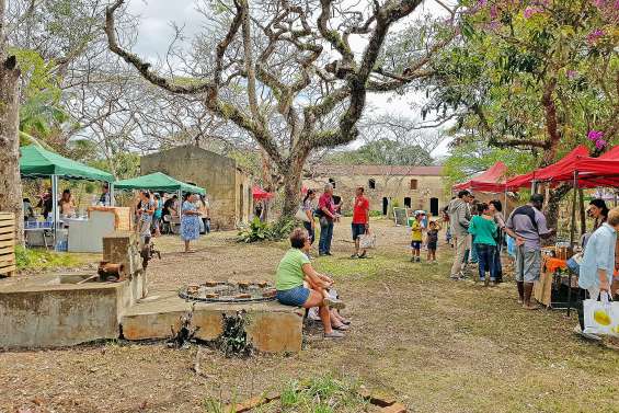 Retour sur l’histoire du Jardin de Méaré, dont l’association fête ses 10 ans, dimanche