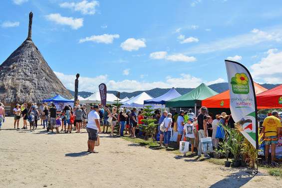 Le marché alternatif de Brousse a fait un tabac à Déva