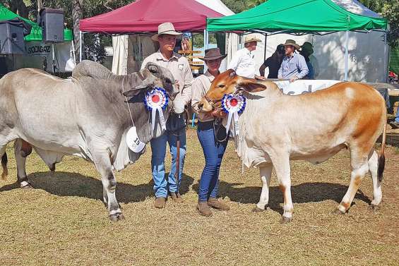 Plusieurs concours d’animaux prévus pour la 28e Foire de Koumac