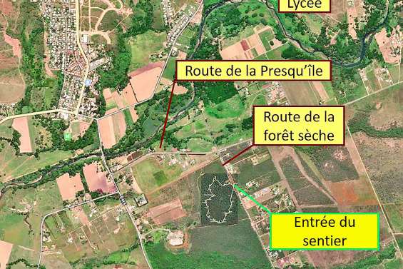 Chantier participatif  au sentier pédagogique de Tipenga Nord