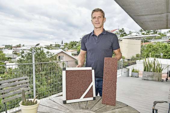 L’entreprise qui veut faire mourir de soif la dengue 