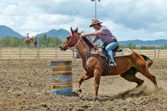 La sixième édition de la fête agricole ouvre ses portes samedi