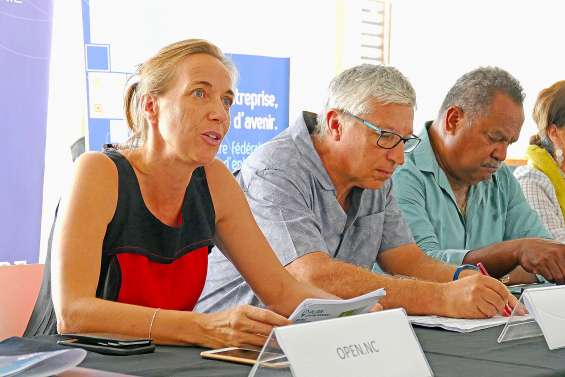 Diginova, trois jours pour développer le numérique