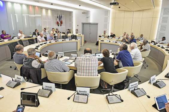 Le Cese favorable au projet  de création de zones franches