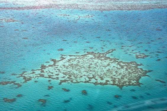 Mer de Corail : le gouvernement contre-attaque