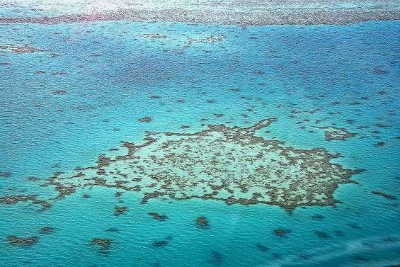 Aires marines et viande de porc au menu du Cese