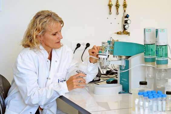 Les eaux calédoniennes sont-elles chargées en métaux ?