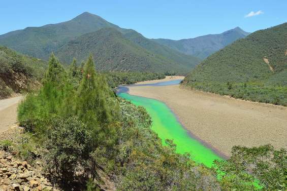 [VIDÉO] A Tontouta, une partie de la rivière a viré au vert fluo