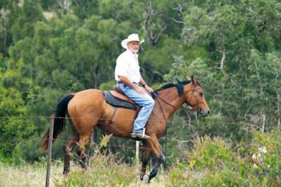 « On a de nouveau le cœur à l'ouvrage »