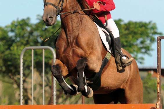 Yaëlle Grémy, 9 ans, mon cheval, ma bataille