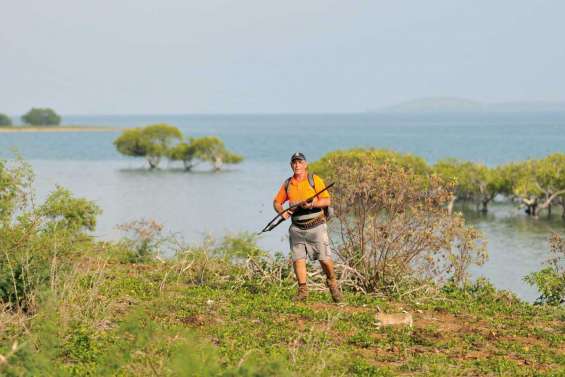 Chassés-croisés sur l'îlot Leprédour