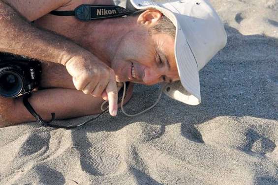 Un œil sur le Caillou