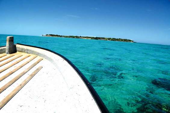 Le paradis au bout de l'estuaire