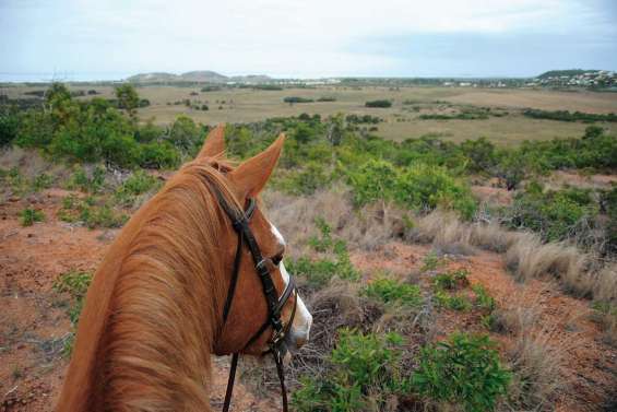En selle dans les montagnes