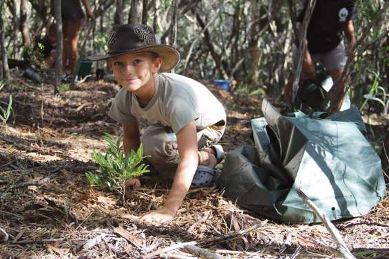 Tous mobilisés pour la forêt sèche !
