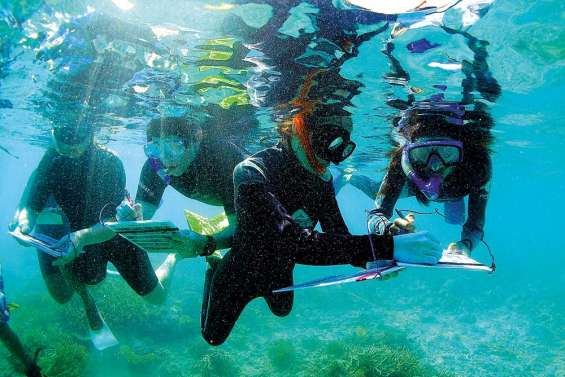 Escapade dans le grand bleu