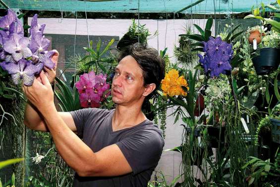 Sébastien Limousin : La passion des orchidées