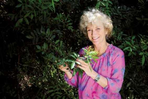 La dame aux baies roses