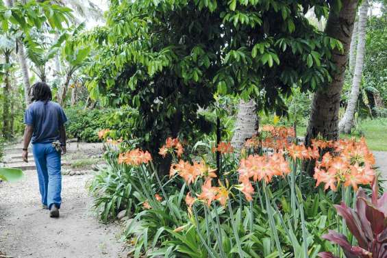 Des fleurs... entre les murs