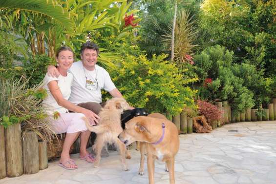 Une jungle sur la terrasse