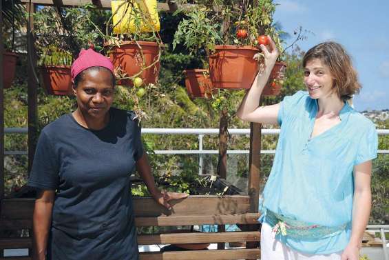 Un potager au balcon