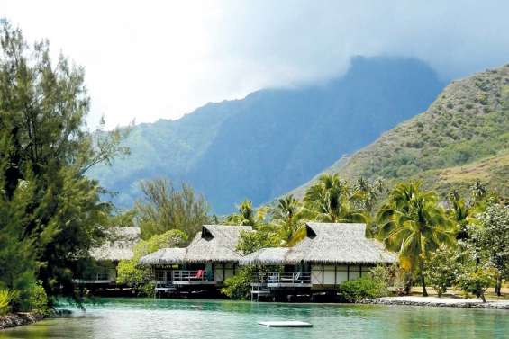 Moorea, la perle rare