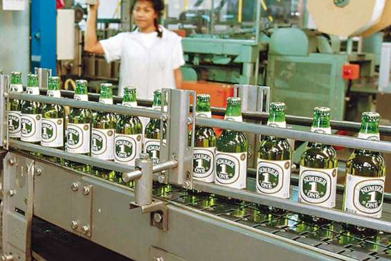 Grande Brasserie de Nouvelle-Calédonie : Une bière qui fait un carton