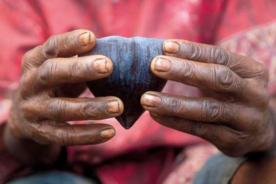 Sur les traces du kava