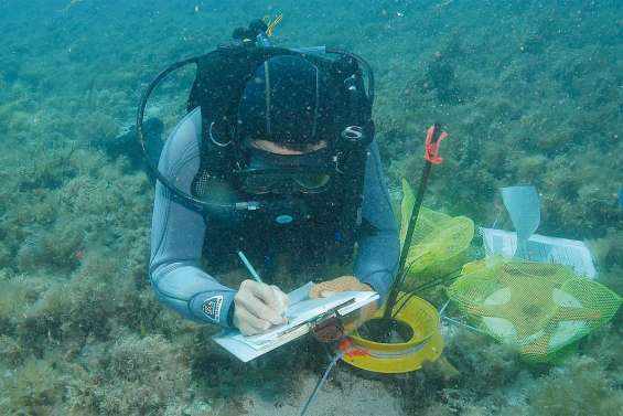 Comme un poisson dans l'eau, à l'IRD