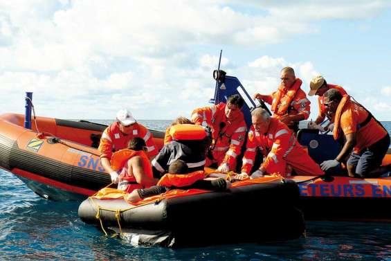 Les saint-bernard du lagon, par solidarité