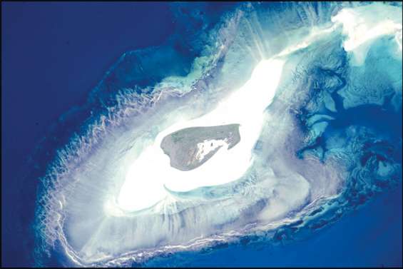 L'île Adele, un sanctuaire