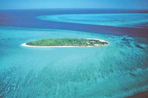 Un enfant mordu par  un squale près d'un îlot