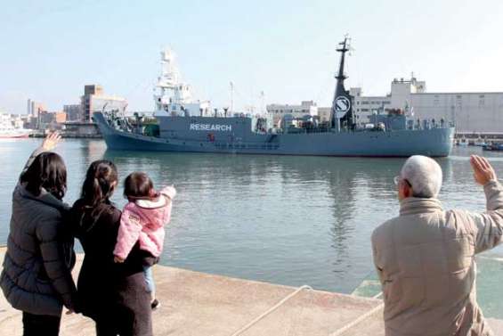Les pro-baleines veulent traîner le Japon en justice