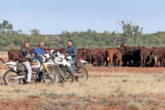 Les Chinois n'achèteront pas 2,5 % des terres